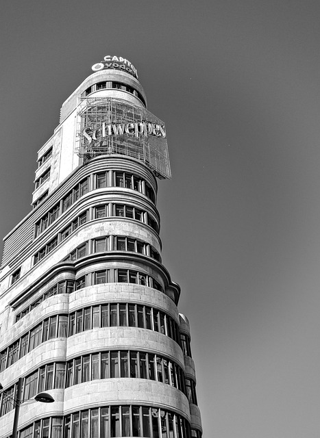 equipo brindando orientación y planificación en oficina tranquila Madrid